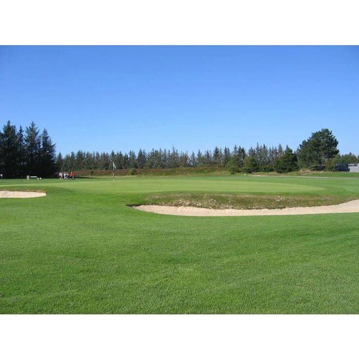 2 stk. Green Fee billetter til Esbjerg Golfklub - Marbæk banen #2